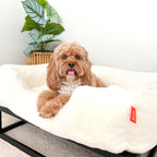 FUZI Luxury Aesthetic Dog Bed for Medium Dogs with Washable Cover, Pet Couch, Pet Bed with Sides, Non-Slip Bottom, Soft and Durable Calming Dog Bed, Faux Rabbit Fur, Medium 31.75x23.6x9.5 Soft White