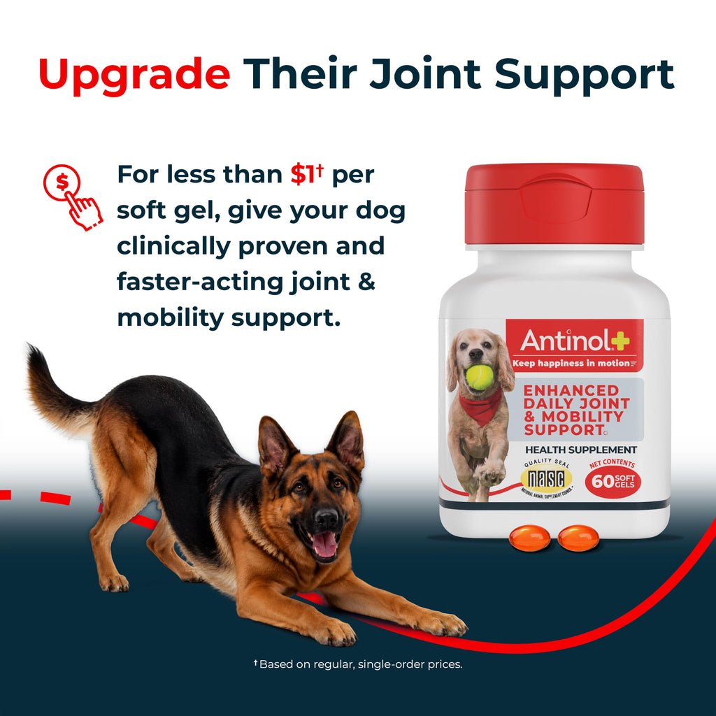Antinol Plus Mobility Hip & Joint Supplement for Dogs, 180 Soft Gels