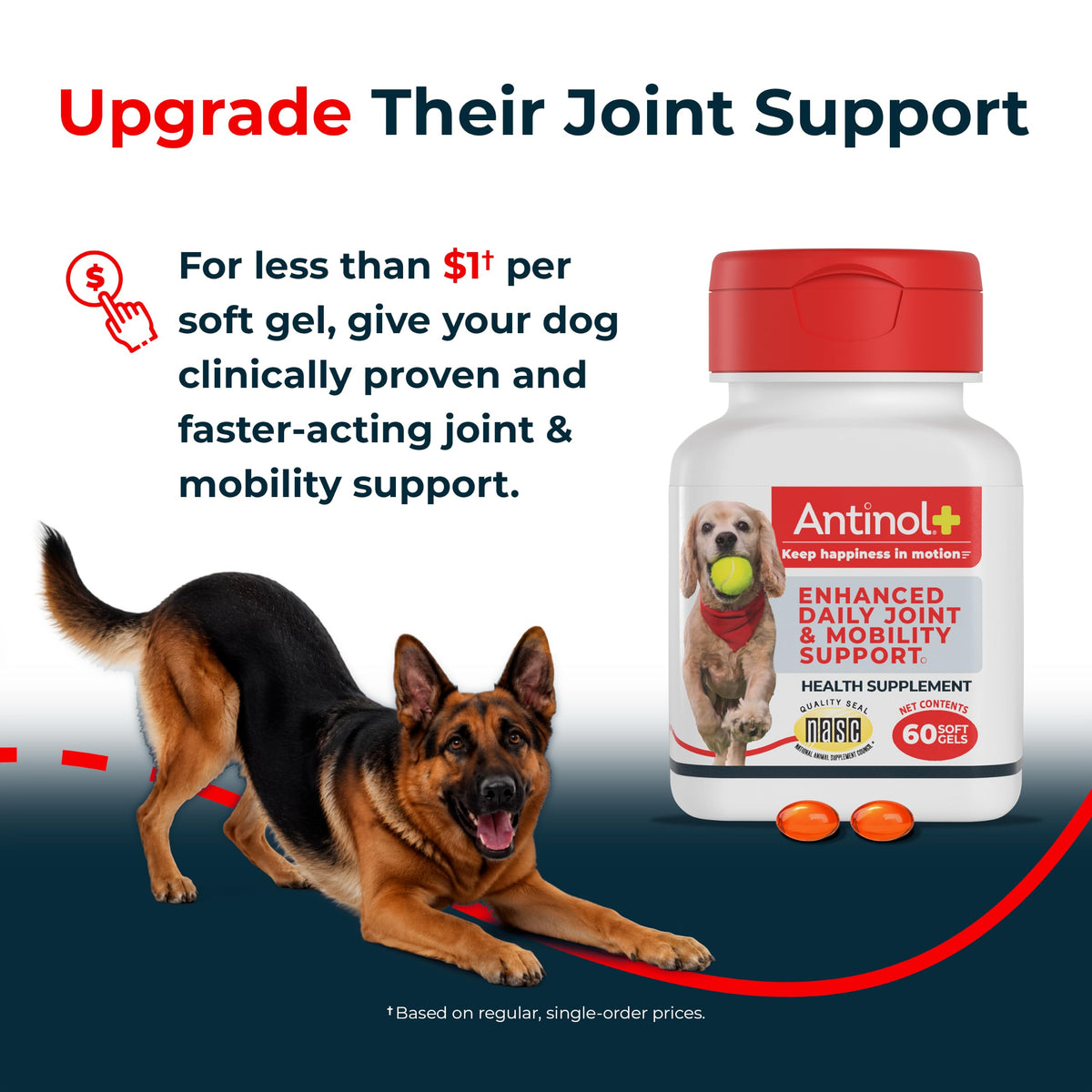 Antinol Plus Mobility Hip & Joint Supplement for Dogs, 180 Soft Gels