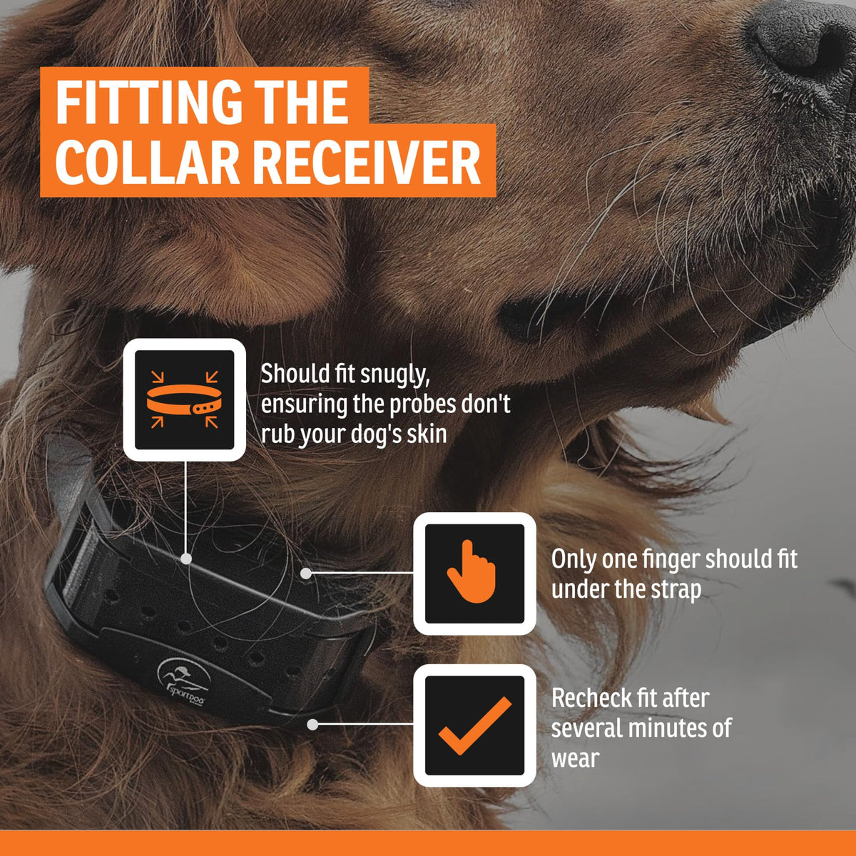 SportDOG Contain + Train Add-A-Dog Collar