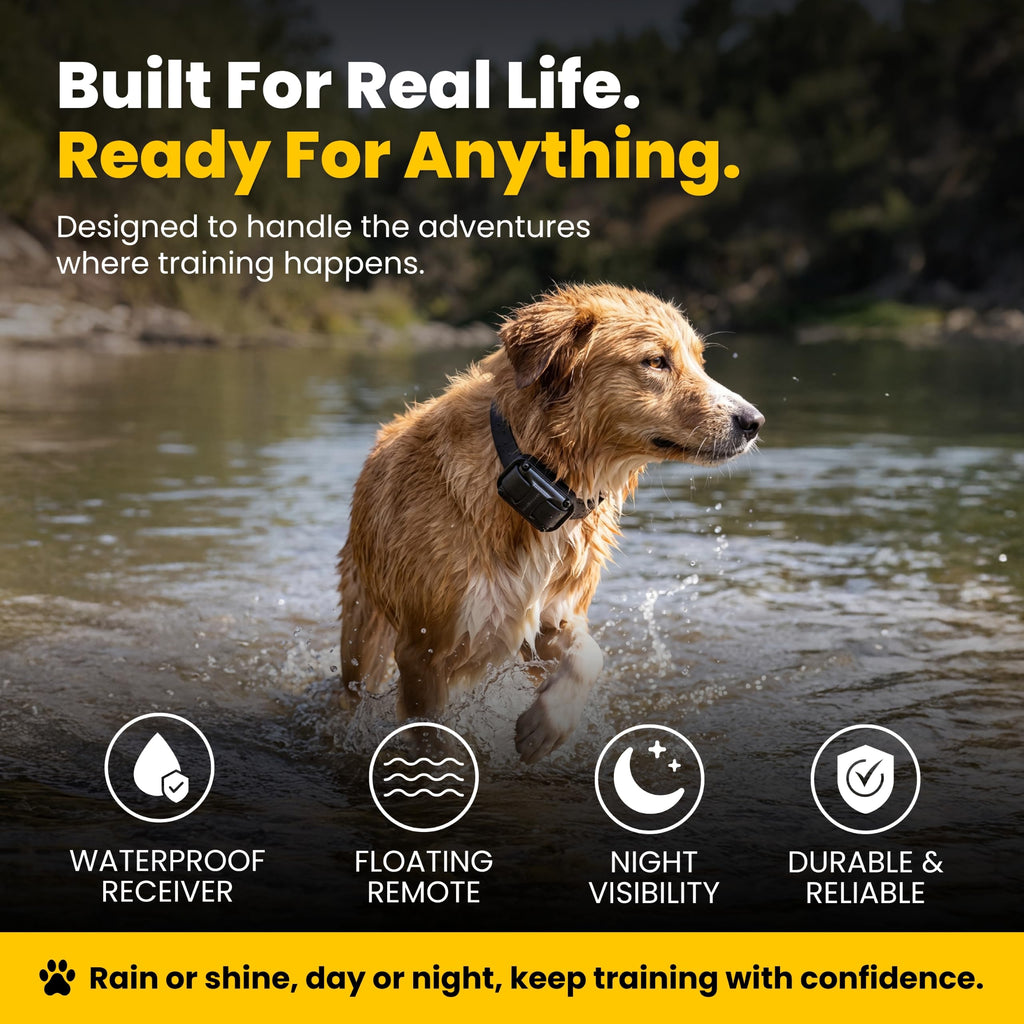 Educator ET-302 Mini E Collar for Dog Training with Remote - 1/2 Mile Range, Waterproof, 100 Blunt Stimulation Levels, Tone or Vibration Mode, Night Light for Small, Medium & Large Dogs (2 Dogs)