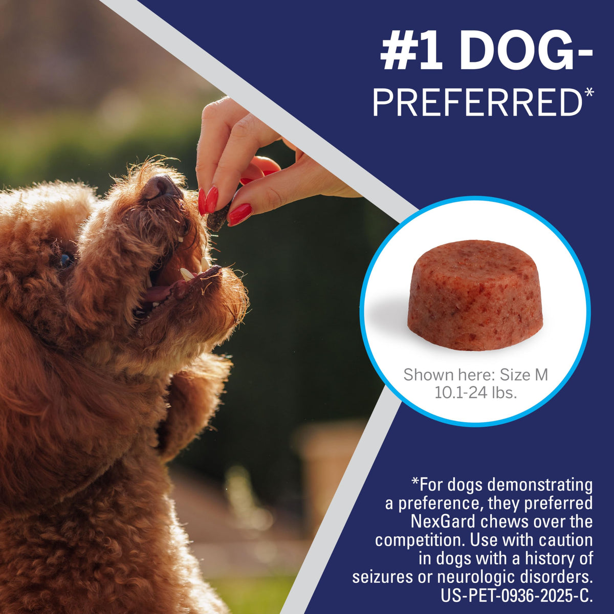 NexGard® (afoxolaner) Flea and Tick Protection for Dogs Oral Soft Beef Flavored Chewables, 24.1 to 60 lbs. (Purple Box) 6 Chews (6 Month Supply)