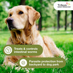Trifexis for Dogs 60.1-120 lbs., 6ct