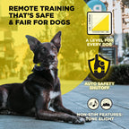 Dogtra 200iQ 2-Dog Remote Training E-Collar with Titanium Contact 1" | 1/2 Mile Range, 100 Levels, Tone & Vibration, Compact, Waterproof, One-Handed Control, Ideal for Long-Haired Dogs