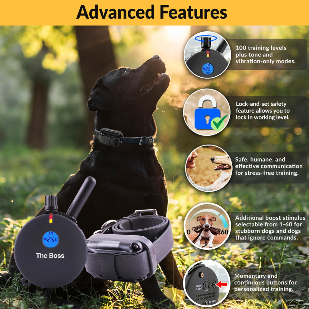 E-Collar Educator ET-800 The Boss Remote Dog Training Collar, 1 Dog, Black