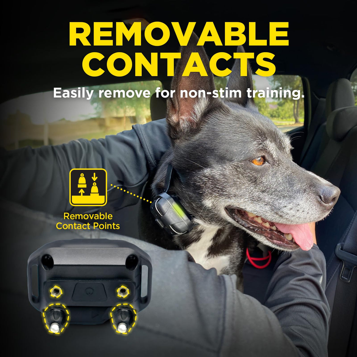 Dogtra 1900X Additional Receiver for E-Collar Training, Rugged, Waterproof, 100-Level Stimulation, for Dogs 45 lbs+, Expand to Multi-Dog System