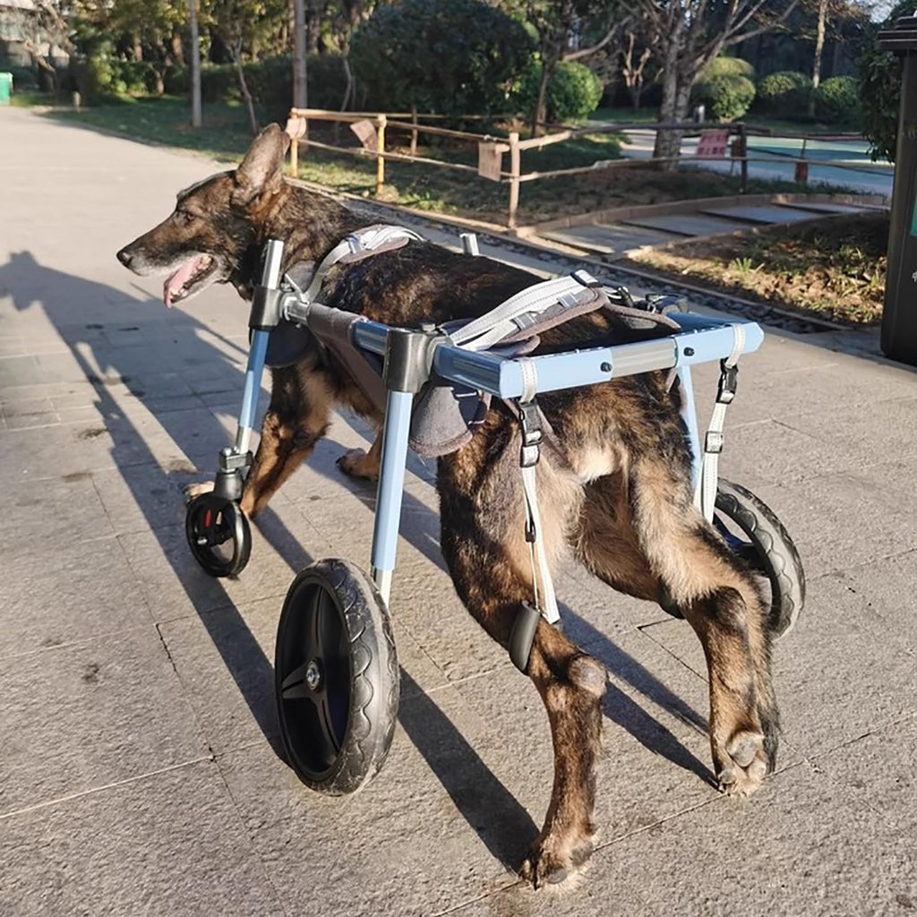 Medium Large Dog 4 Wheel Wheelchair, Adjustable Pet Rear Leg Braces for Arthritis Torn Acl, Hip Support Pet Mobility Aid for All Terrain(S)