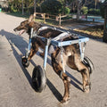 Medium Large Dog 4 Wheel Wheelchair, Adjustable Pet Rear Leg Braces for Arthritis Torn Acl, Hip Support Pet Mobility Aid for All Terrain(S)