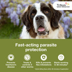 Trifexis for Dogs 60.1-120 lbs., 6ct