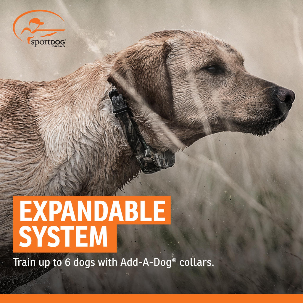 SportDOG WetlandHunter 1825X Remote Trainer, 1 Mile Range, 21 Static Levels