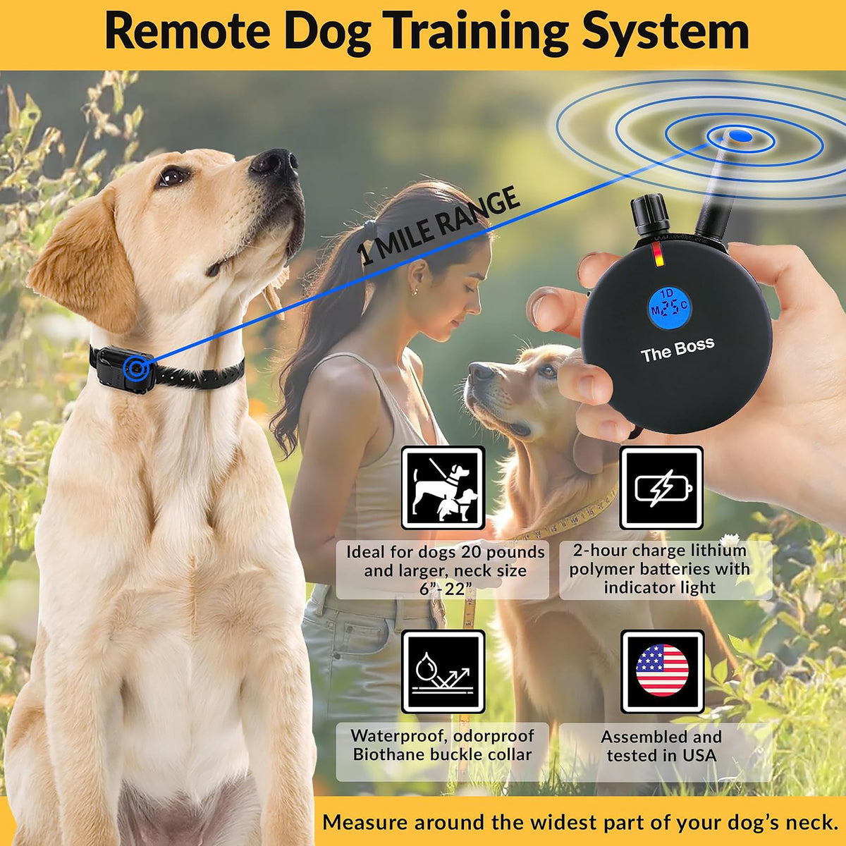 E-Collar Educator ET-800 The Boss Remote Dog Training Collar, 1 Dog, Black