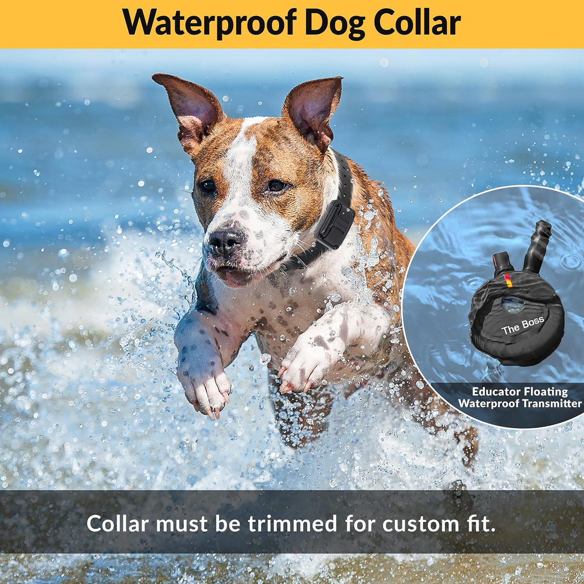 E-Collar Educator ET-800 The Boss Remote Dog Training Collar, 1 Dog, Black