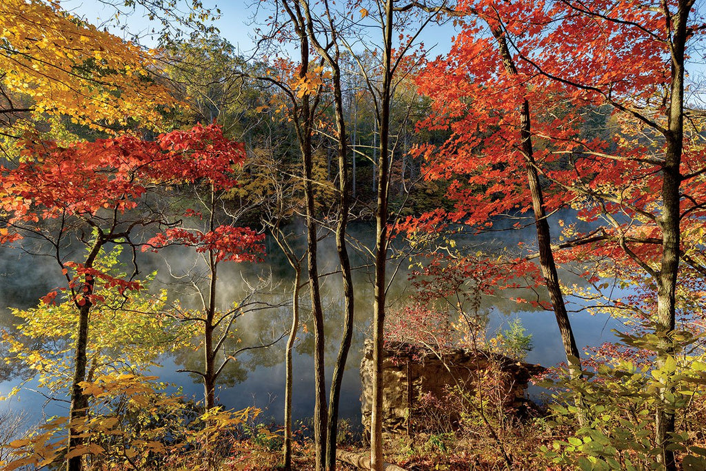 Kentucky: Seasons of the Bluegrass