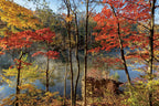 Kentucky: Seasons of the Bluegrass