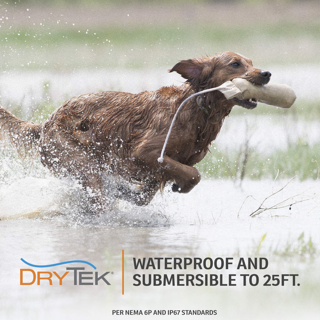 SportDOG WetlandHunter 425X Remote Trainer, 2 Collars