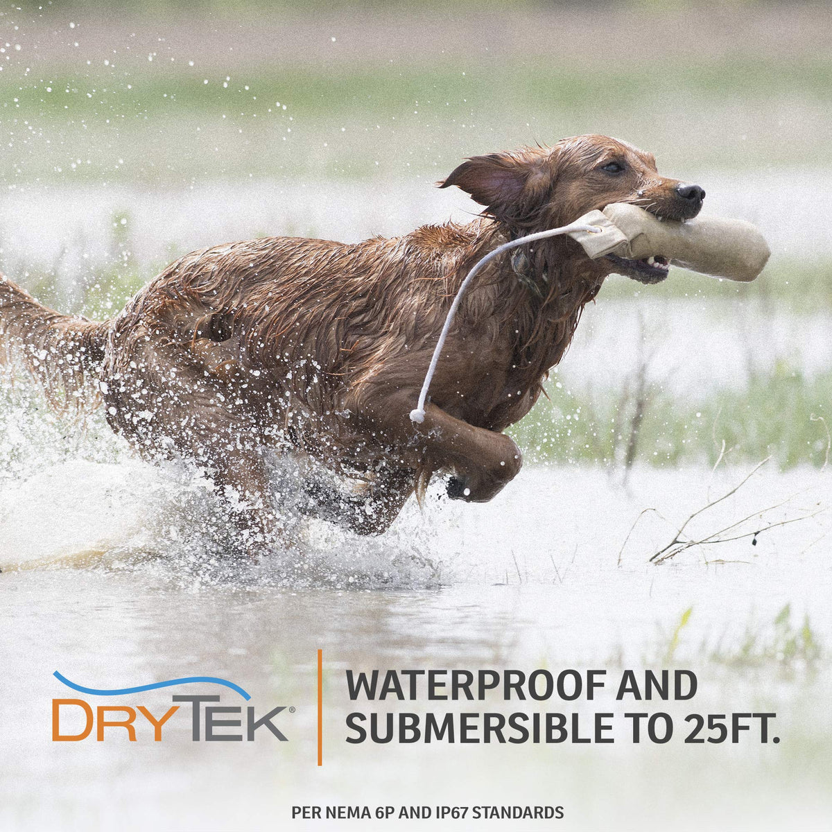 SportDOG WetlandHunter 425X Remote Trainer, 2 Collars