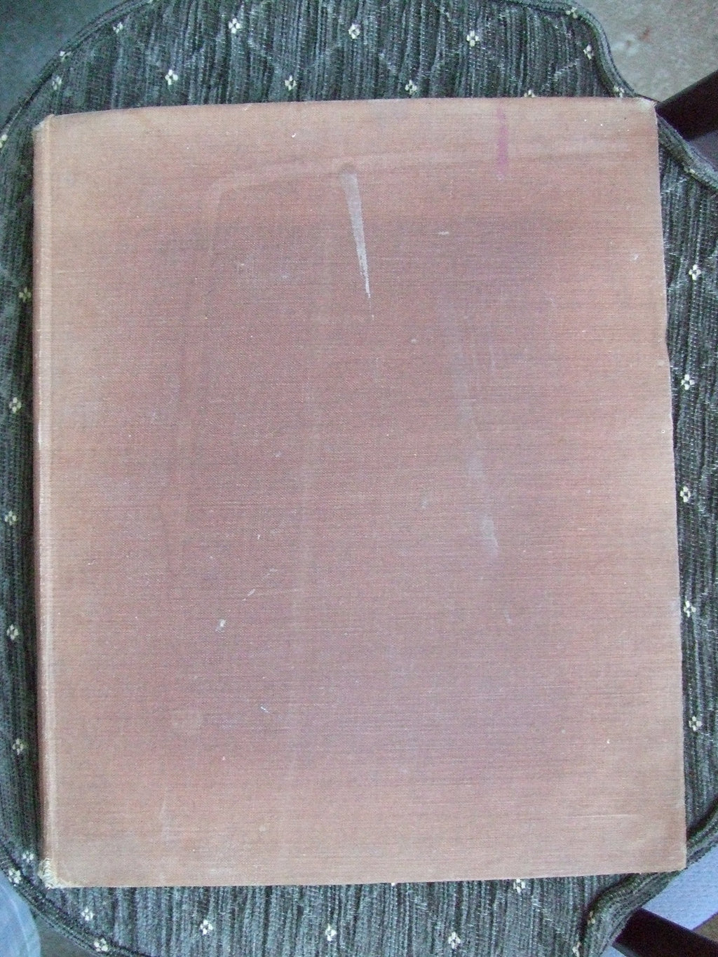 Lucy Dawson's Dog Book